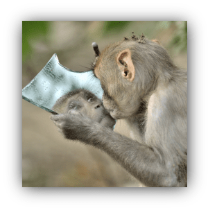 Narsizm ve Manipülasyon Teknikleri